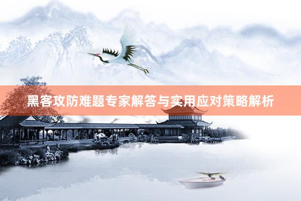 黑客攻防难题专家解答与实用应对策略解析